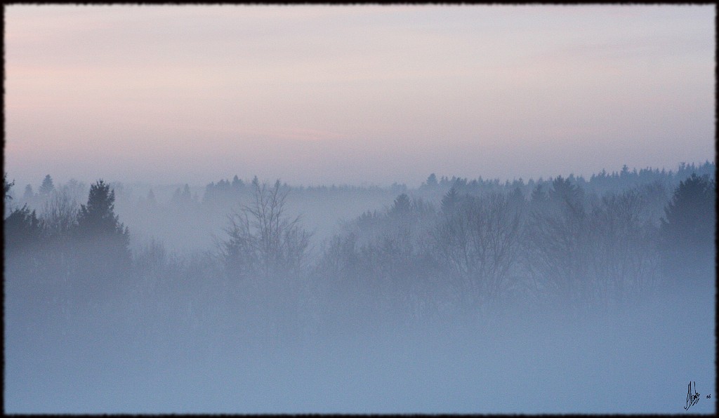 Brouillard.jpg